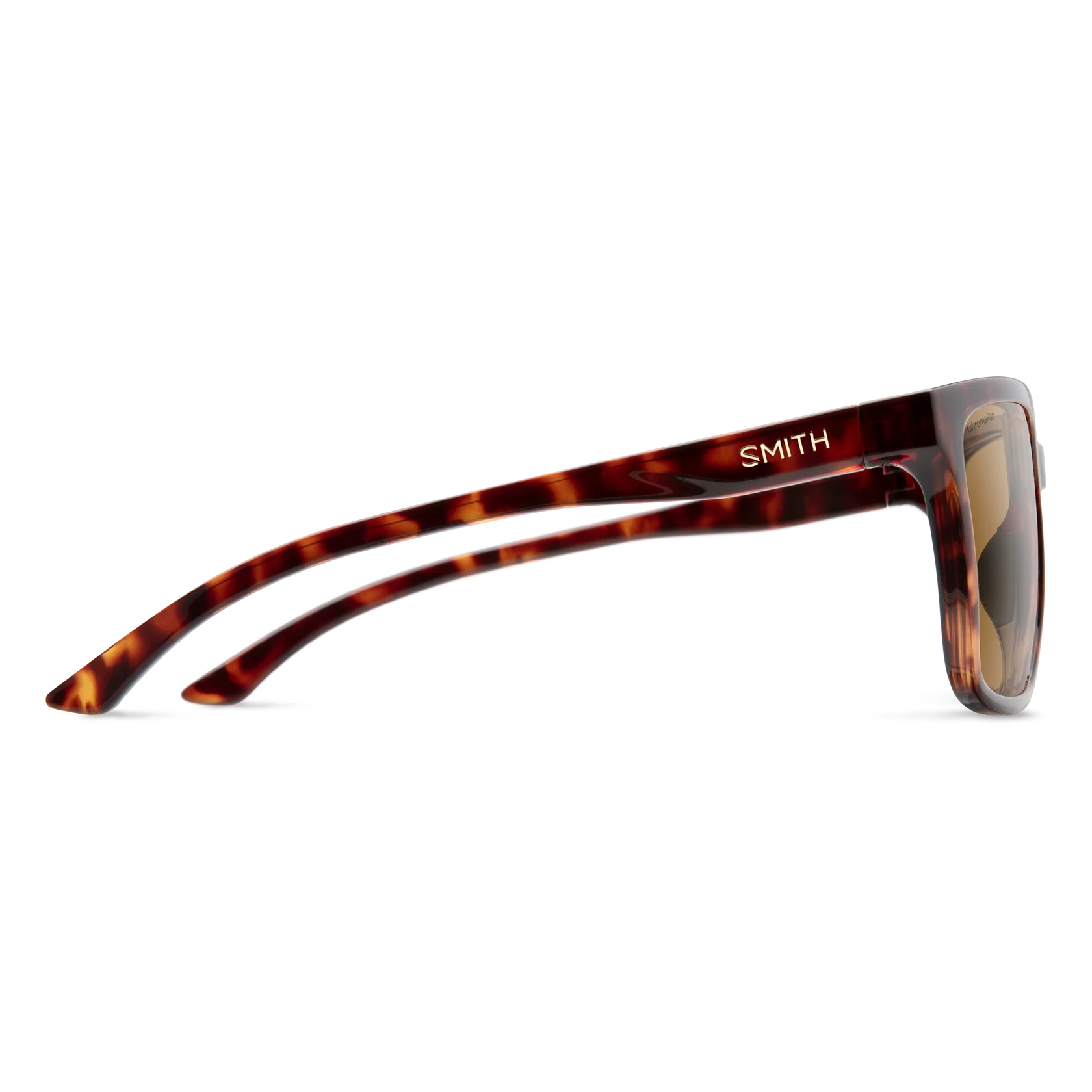Smith Shoutout Sunglasses - Tortoise | ChromaPop Polarized Brown
