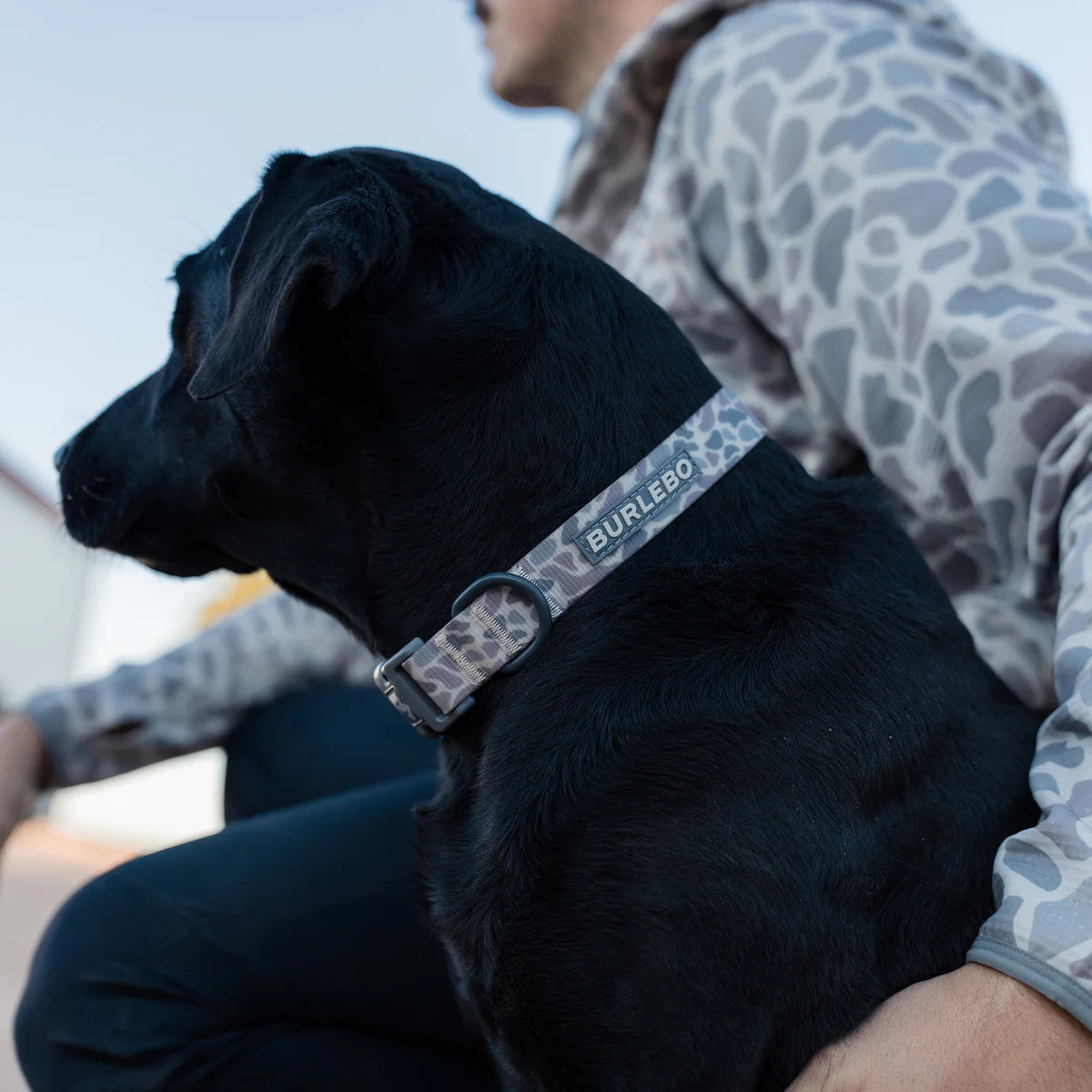 Burlebo Dog Collar - Classic Deer Camo LGXL