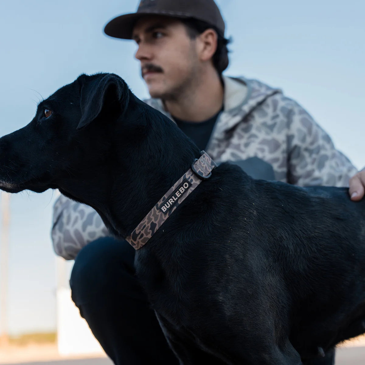 Burlebo Dog Collar - Gauge Camo LGXL
