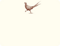 ALEXA PULITZER PHEASANT STRUT A2 NOTES