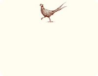 ALEXA PULITZER PHEASANT STRUT A2 NOTES