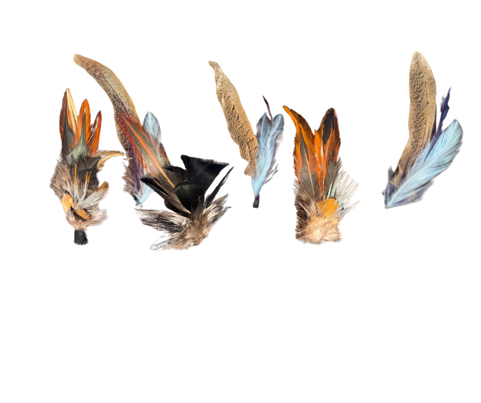 ZUCKER HAT FEATHERS