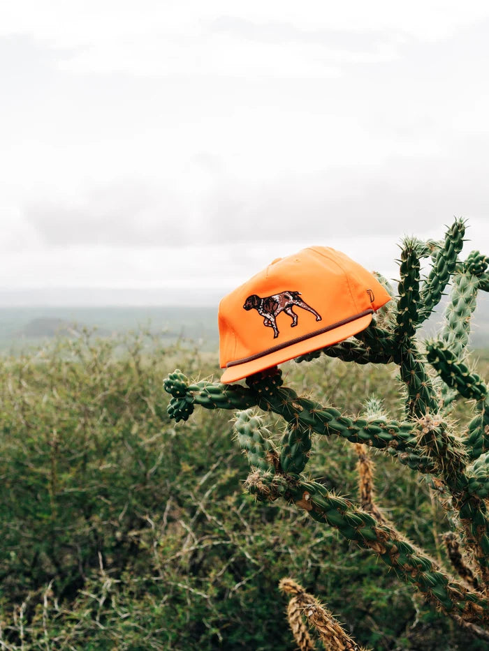 Pointer Hat