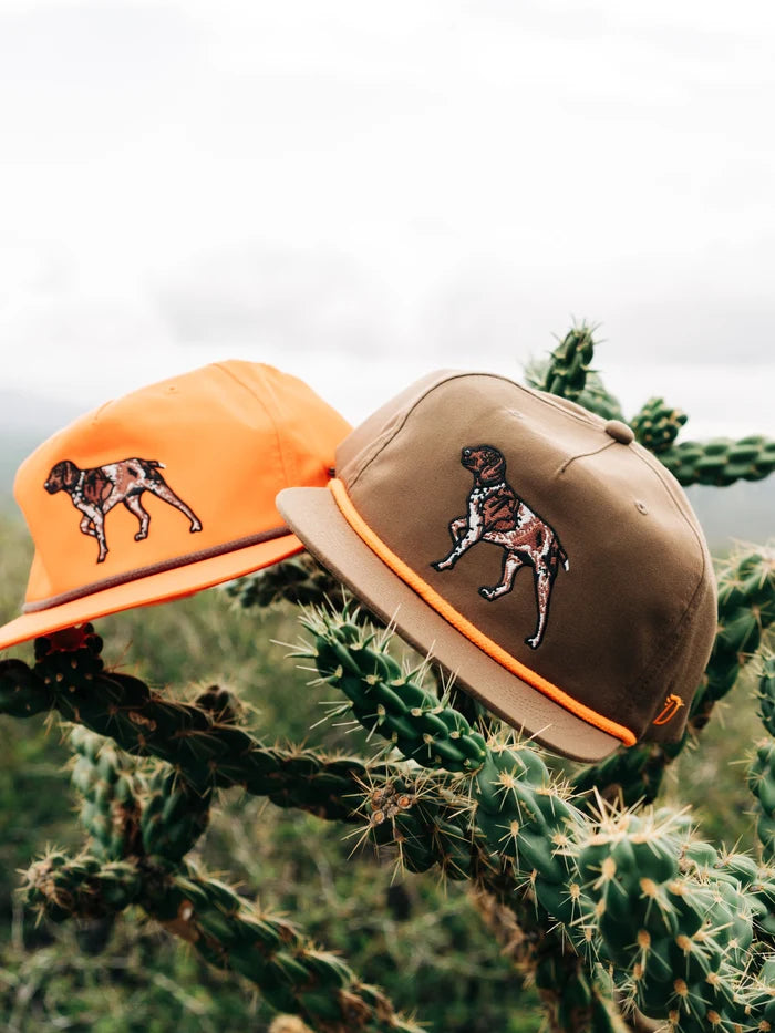 Pointer Hat