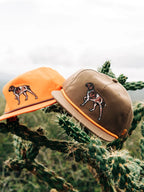 Pointer Hat