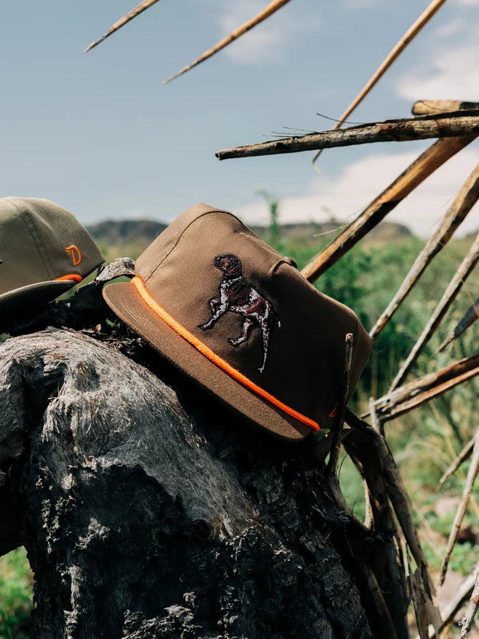 Pointer Hat