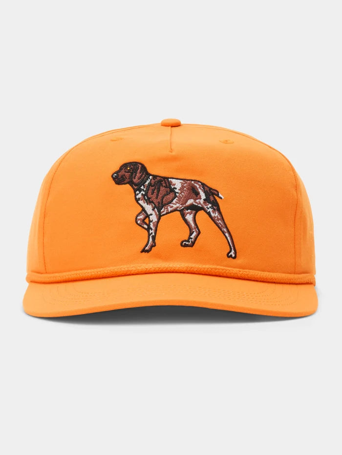 Pointer Hat